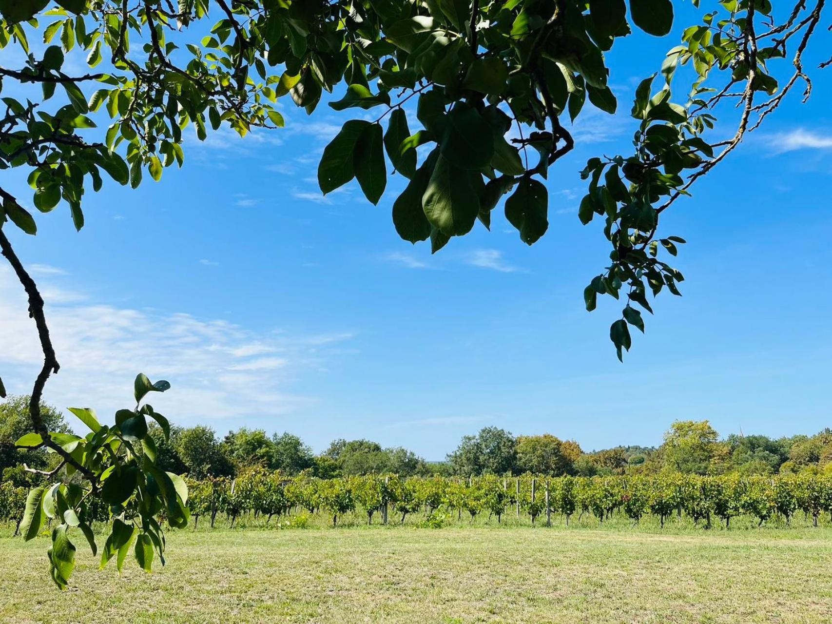 Bordeaux Chateau Lafleur Quinsac  外观 照片